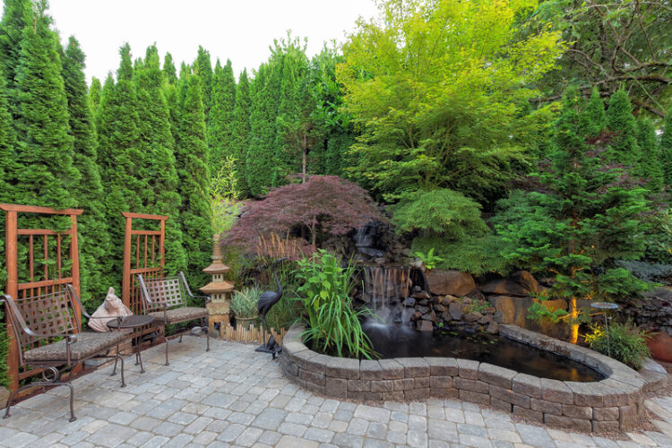 A zen backyard patio with a pond and trellis.